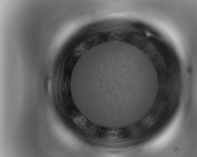 X0000098170382200805011019