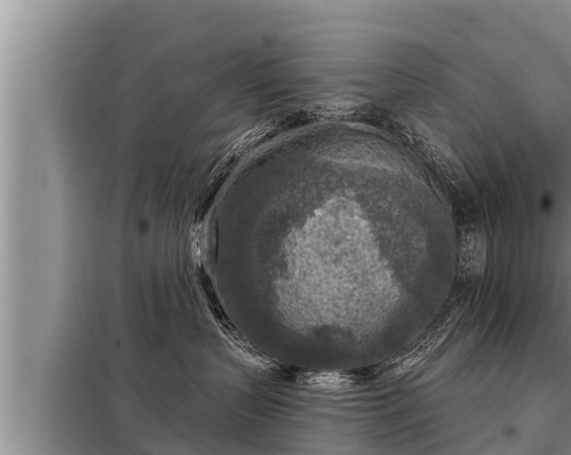 X0000098170383200805011019