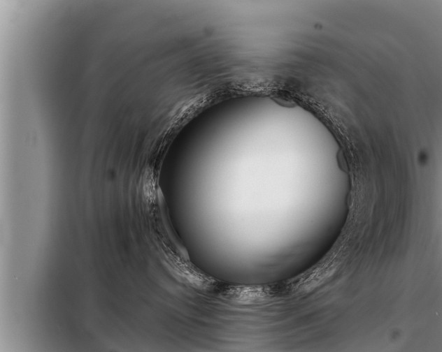 X0000098170384200805011019