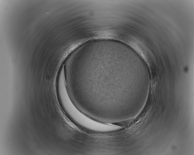 X0000098170389200805011018