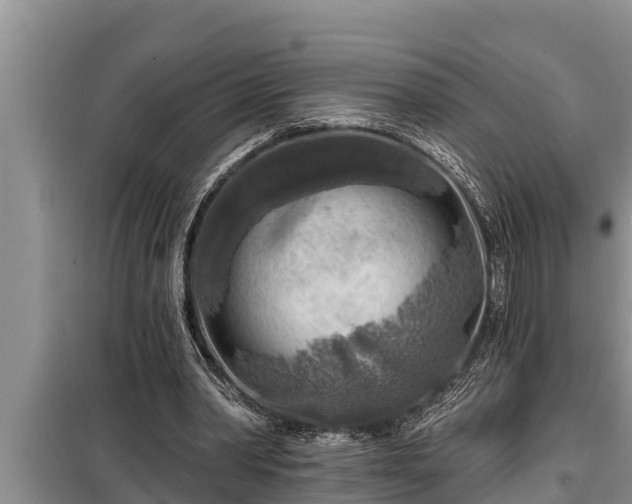 X0000098170390200805011018