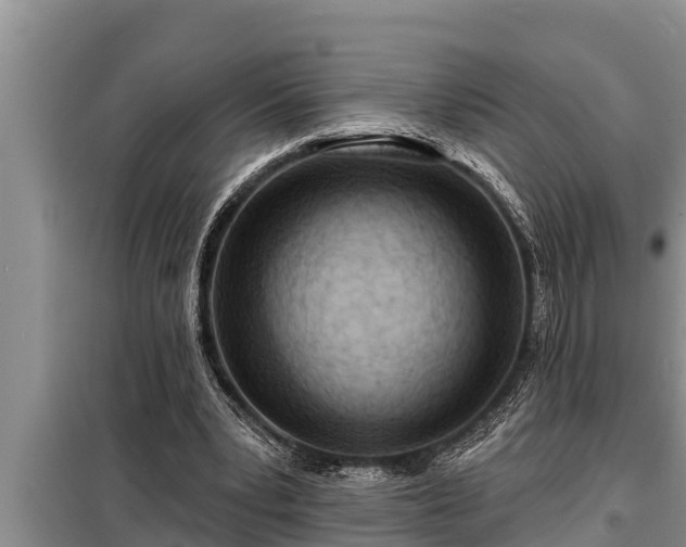 X0000098170391200805011018