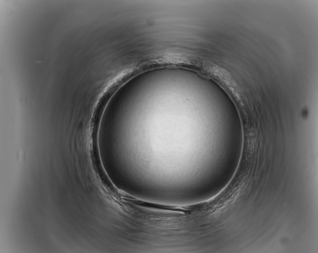 X0000098170395200805011018