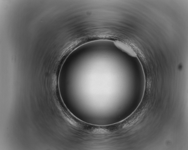 X0000098170397200805011018