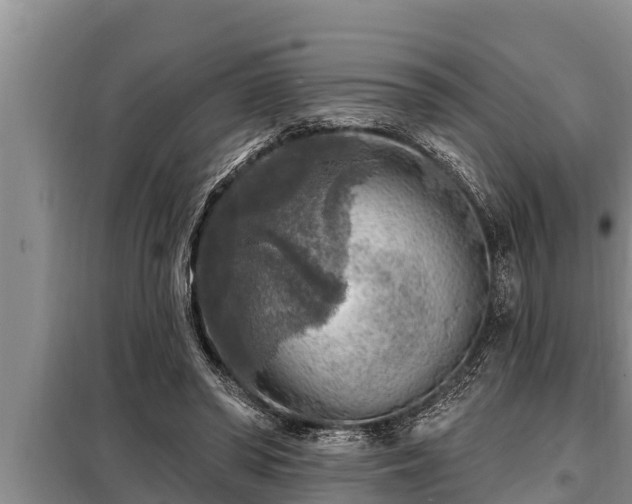 X0000098170398200805011018