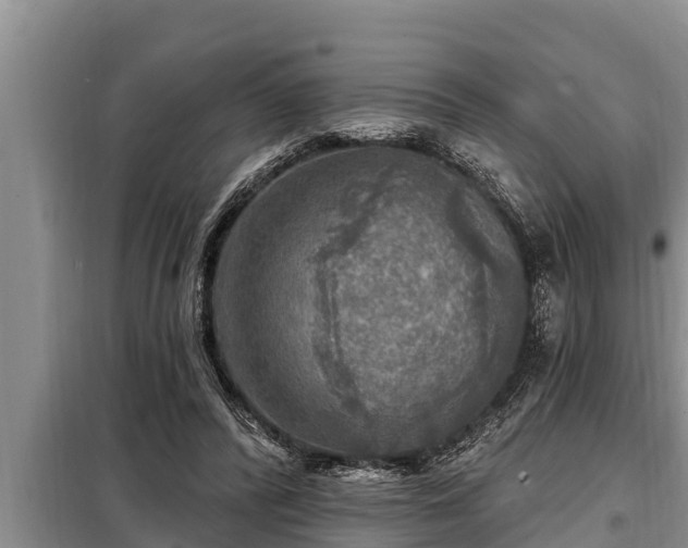 X0000098170400200805011018