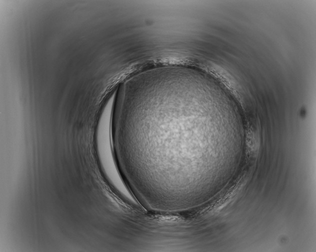 X0000098170401200805011018