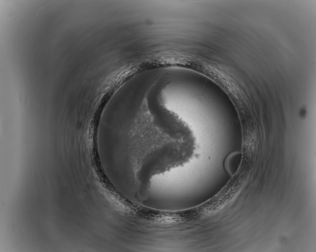 X0000098170402200805011018