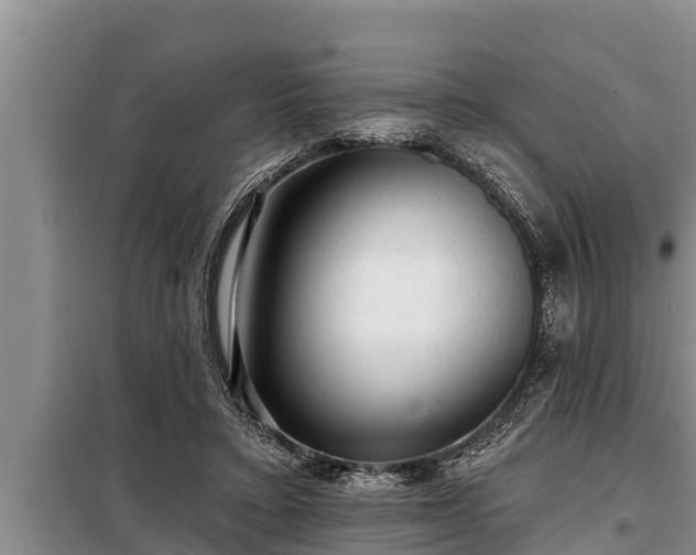 X0000098170403200805011018