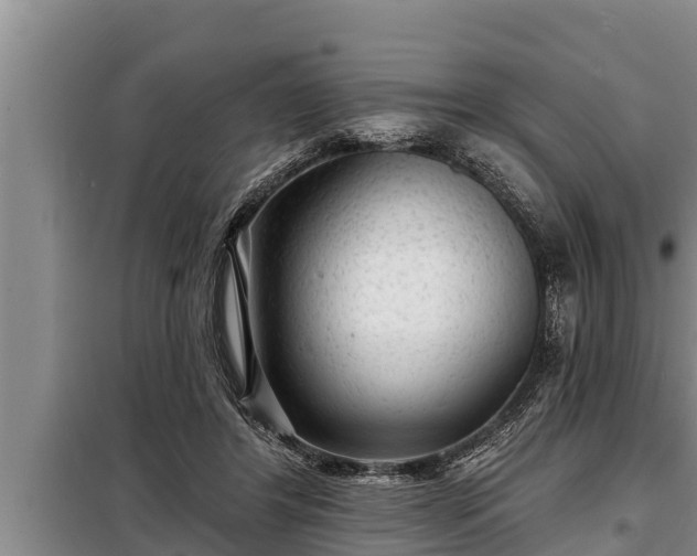 X0000098170404200805011018