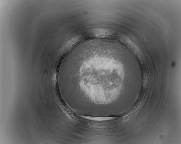 X0000098170405200805011018