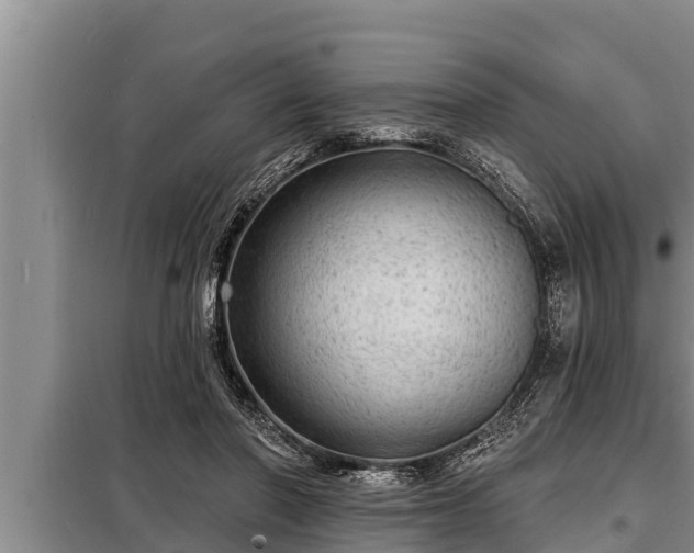 X0000098170406200805011018