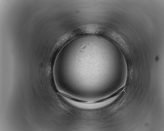 X0000098170407200805011018