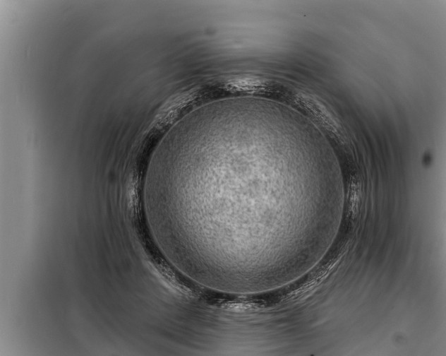 X0000098170408200805011018