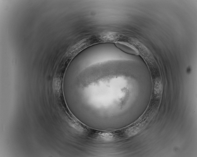 X0000098170409200805011018