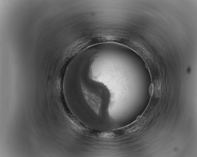 X0000098170410200805011018