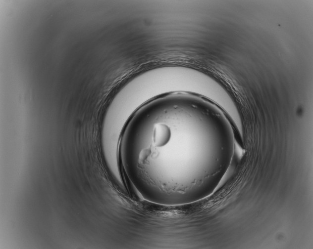 X0000098170411200805011018