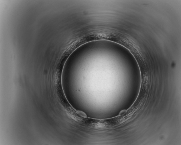 X0000098170412200805011018