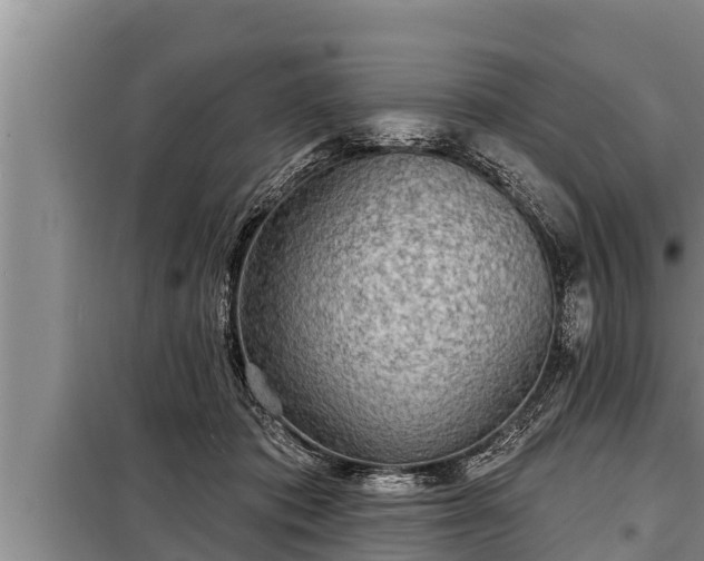 X0000098170413200805011018