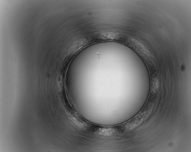 X0000098170414200805011018