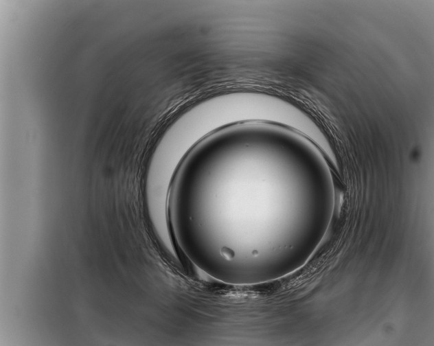 X0000098170415200805011018