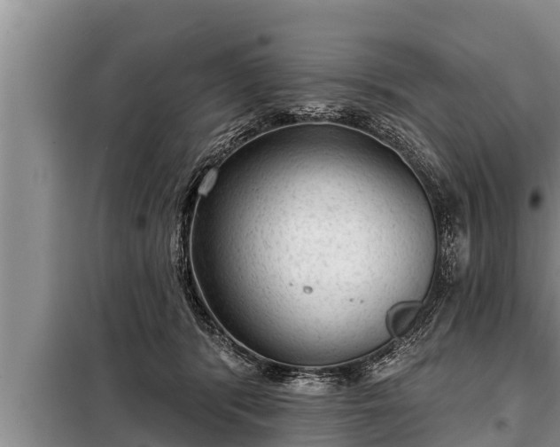 X0000098170416200805011018