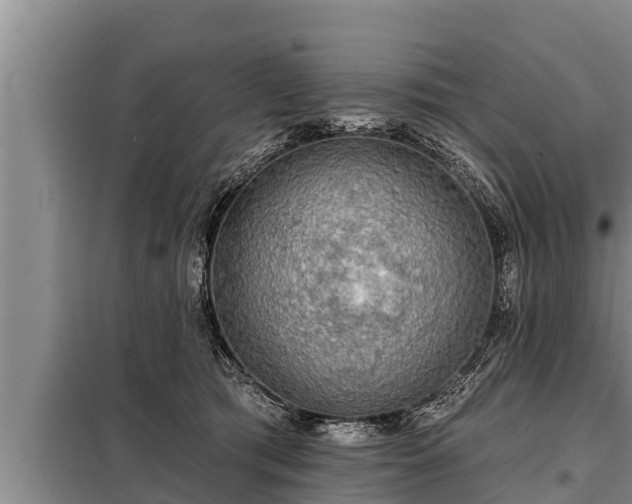 X0000098170417200805011018