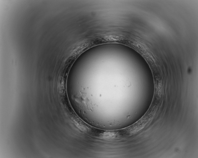 X0000098170418200805011018