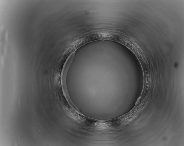 X0000098170419200805011018