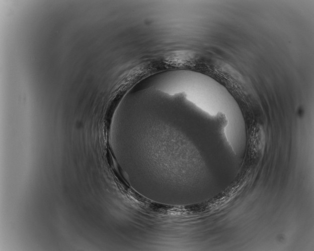 X0000098170420200805011018