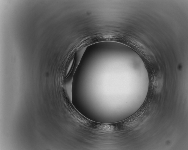 X0000098170421200805011018