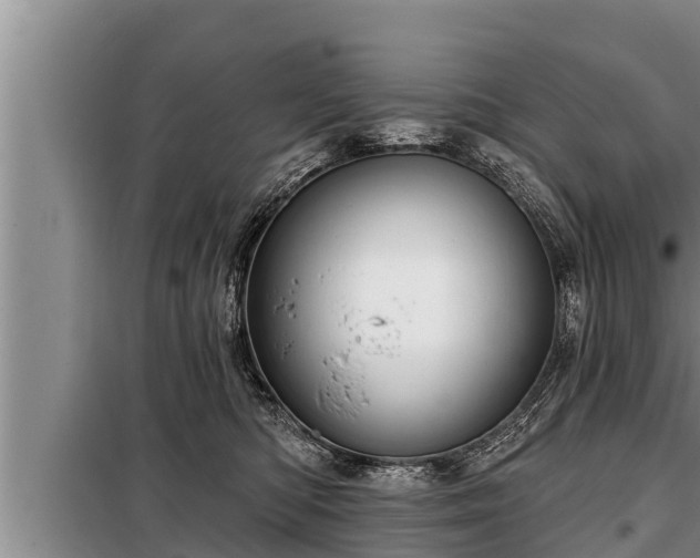 X0000098170422200805011018