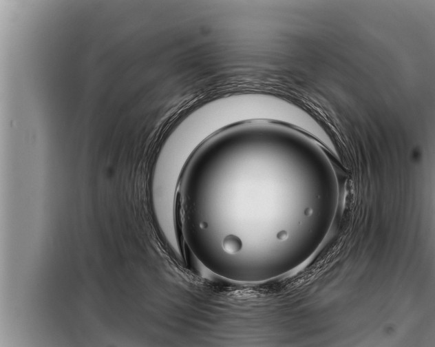 X0000098170423200805011018