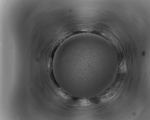 X0000098170424200805011018