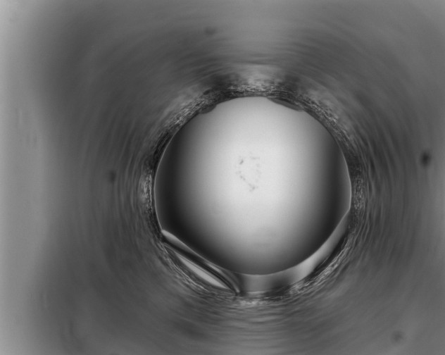 X0000098170425200805011018