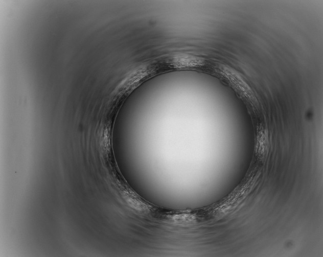 X0000098170426200805011018