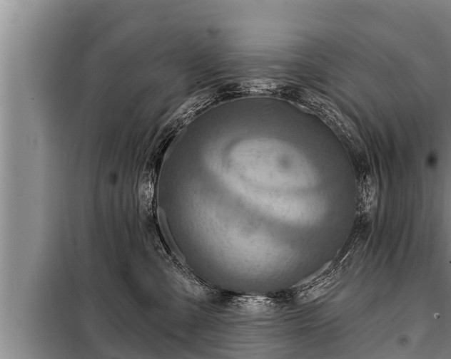 X0000098170427200805011018