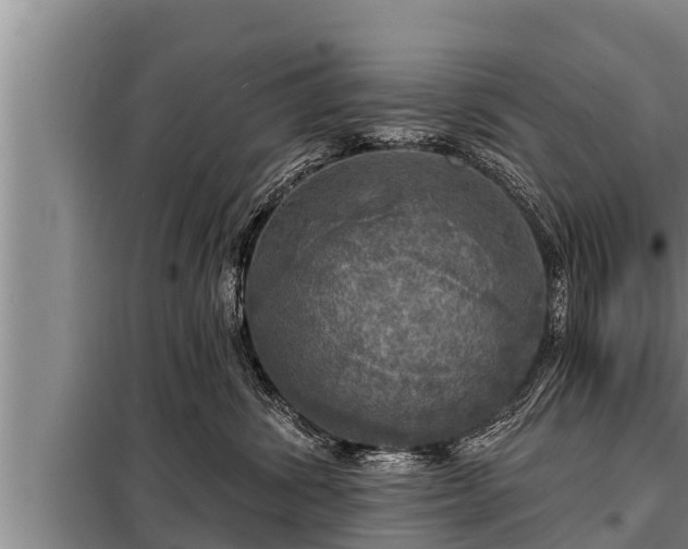 X0000098170428200805011018