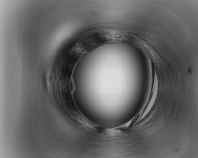 X0000098170429200805011018