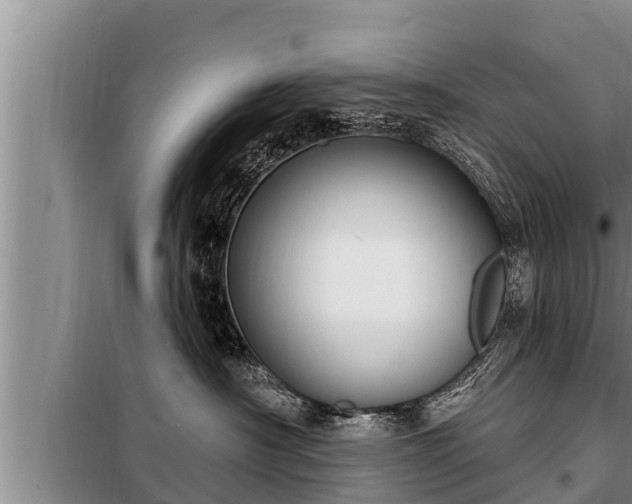 X0000098170430200805011018