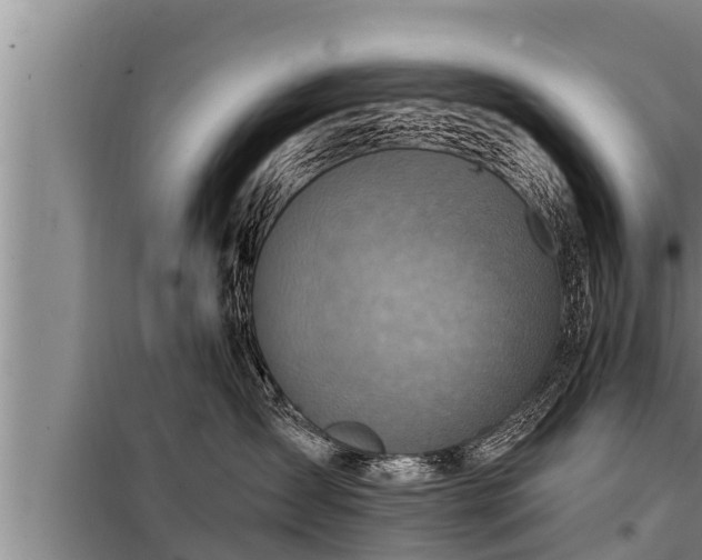 X0000098170431200805011018