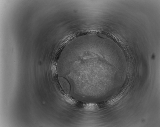 X0000098170432200805011018