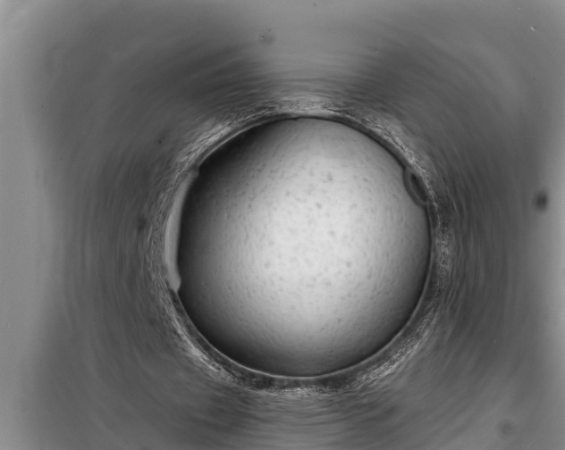 X0000098170433200805011017