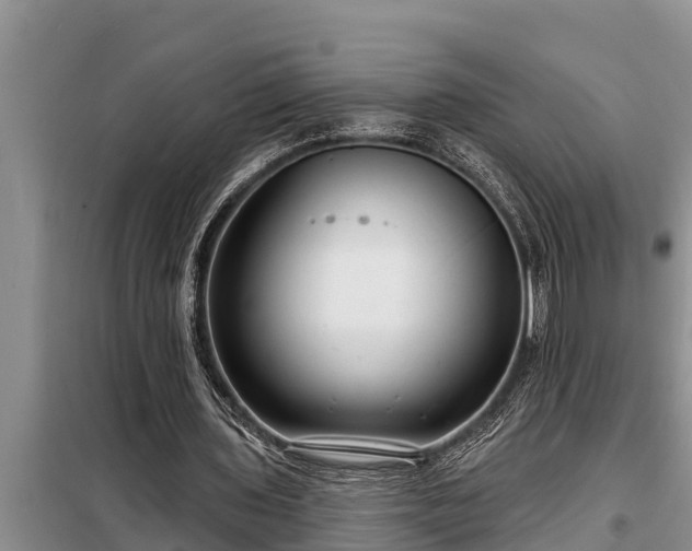 X0000098170435200805011017