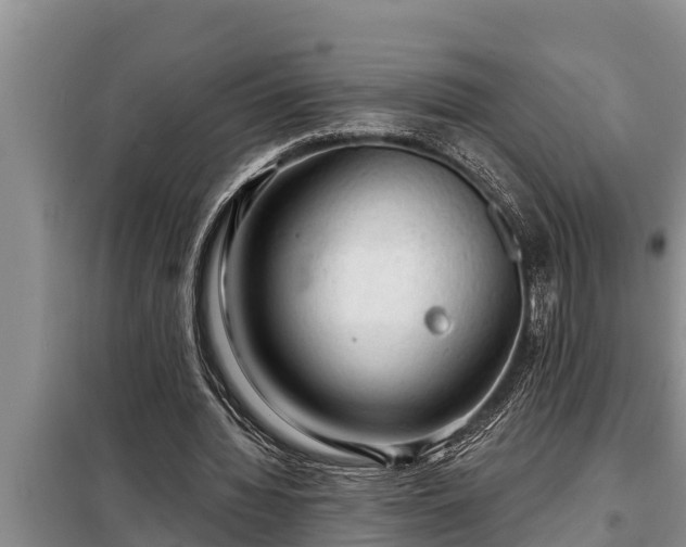 X0000098170436200805011017