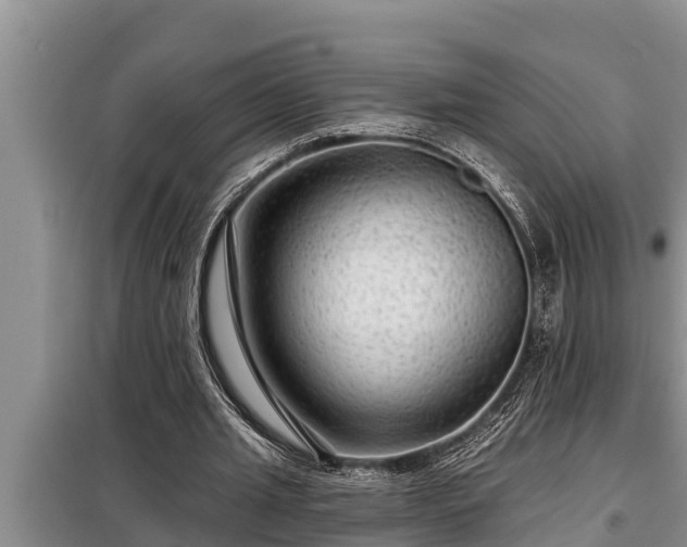 X0000098170437200805011017