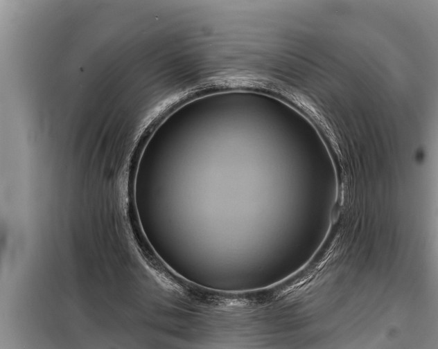 X0000098170438200805011017