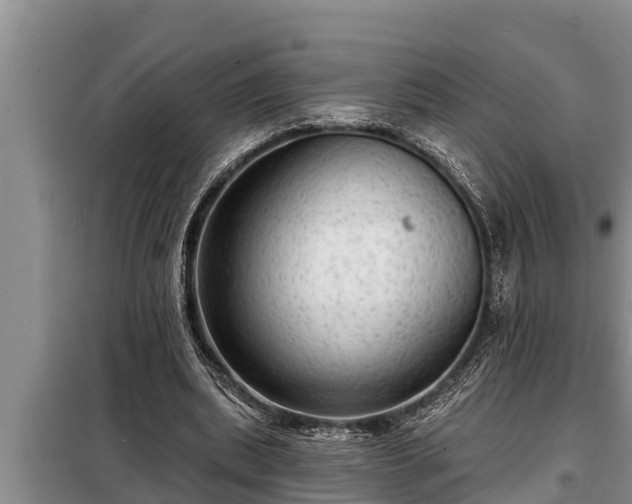 X0000098170439200805011017