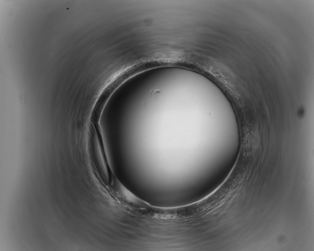 X0000098170440200805011017