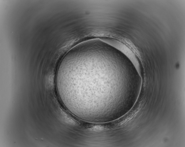 X0000098170441200805011017